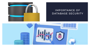 Read more about the article Why Database Security Is Important ?